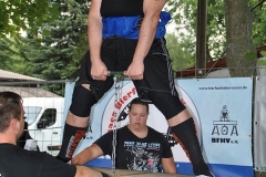 bfh_aktive_2013_081